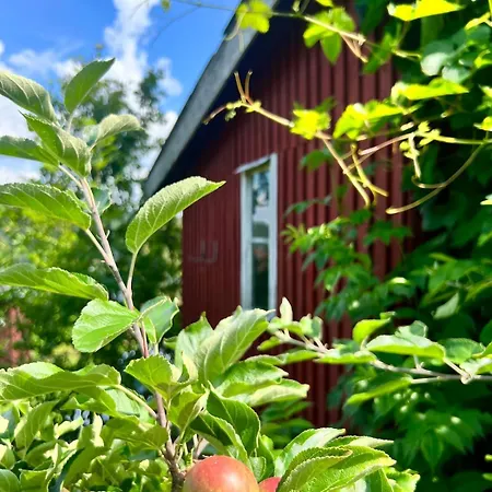 Charming Seaside With Fjord Views Semesterbostad *