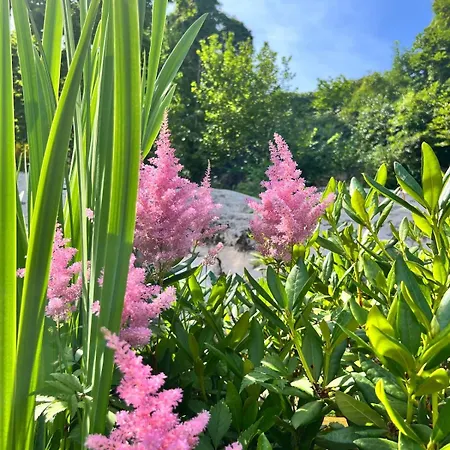 Charming Seaside With Fjord Views 度假居 阿斯克尔
